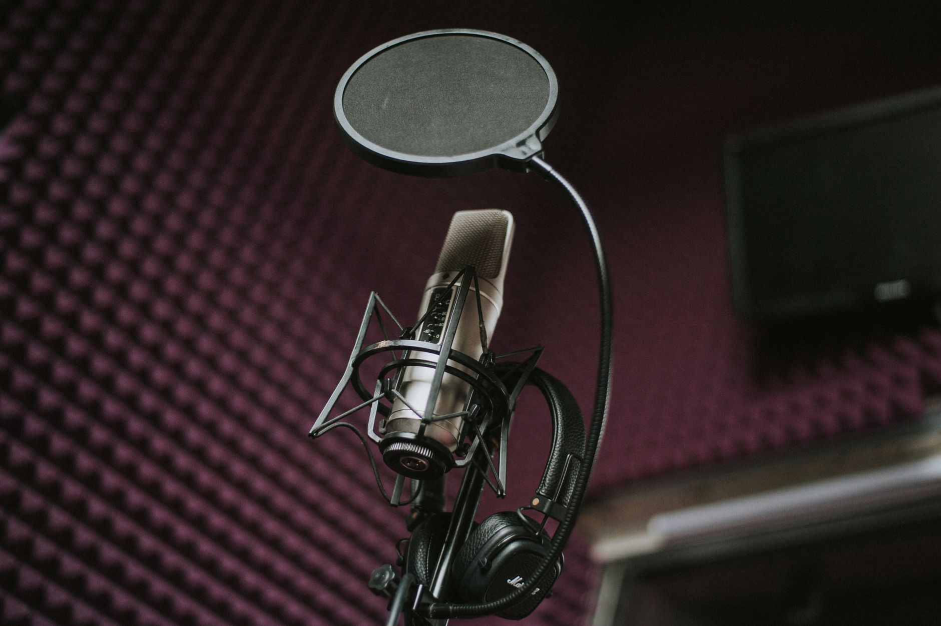 High-quality microphone and pop filter setup in a soundproof music studio.